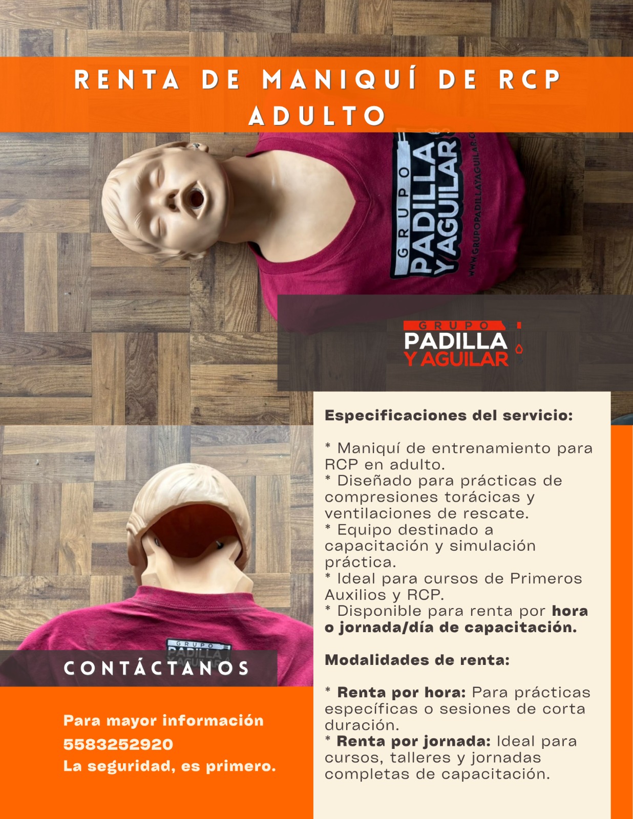 Folleto de renta de maniquí de RCP para adulto